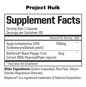 Project Hulk
