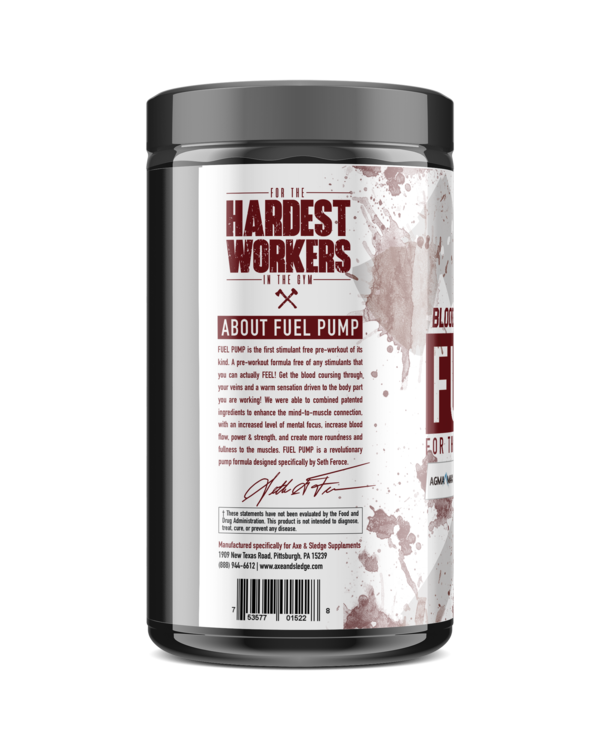 Axe & Sledge Hydraulic Pre-Pump